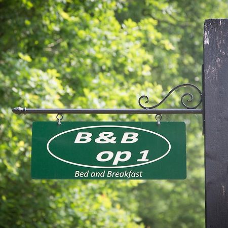 Bed & Breakfast Orvelte المظهر الخارجي الصورة