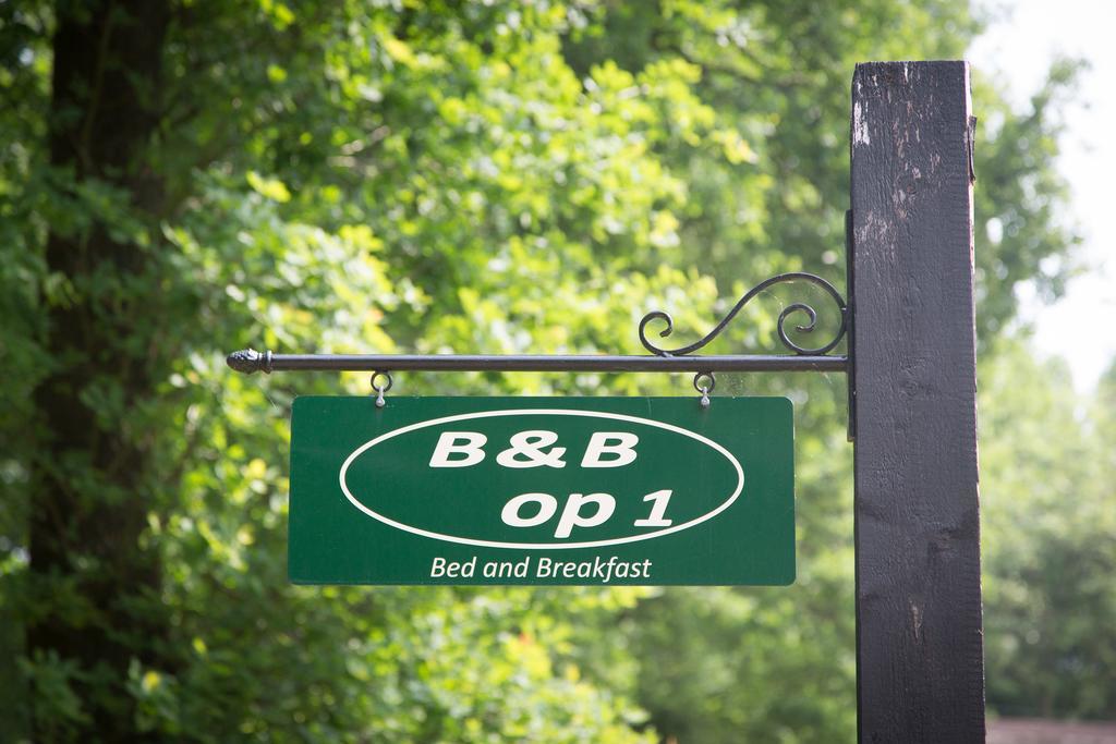 Bed & Breakfast Orvelte المظهر الخارجي الصورة
